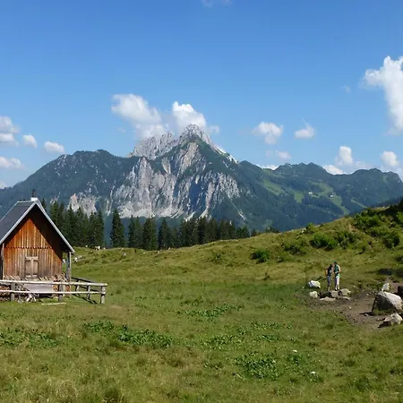 In Tr Polach Near Nassfeld Lift With Pool Apartment Tropolach
