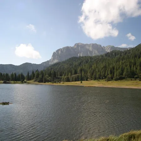 In Tr Polach Near Nassfeld Lift With Pool Apartment *