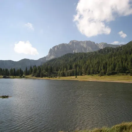 In Tr Polach Near Nassfeld Lift With Pool Apartment *