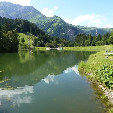 In Tr Polach Near Nassfeld Lift With Pool Apartment